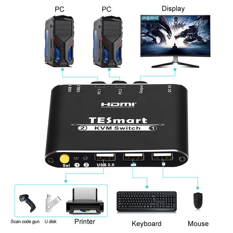 Tesla Elec kvm switch 2 port customized for television