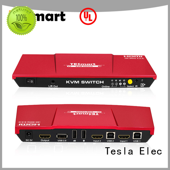 Tesla Elec kvm switch dvi supplier for computer